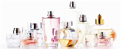 perfume suppliers australia|perfume distributor australia.